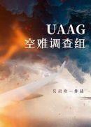 uaag空难调查组