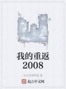 我的重返2008年