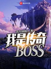 我是传奇BOSSTXT